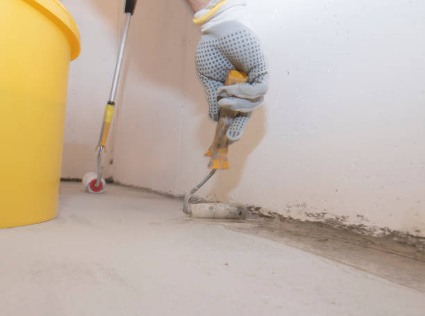 Best Fumigation Services  in Park City, MT